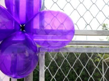 Birthday party balloons total purple on metal grate