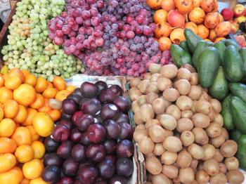 Farmers' food market stall with variety of organic fruits