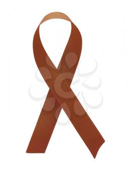 Brown ribbon awareness isolated on white background. Clipping Path included