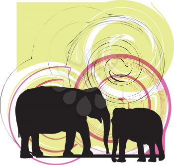Elefant illustration