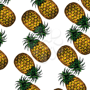 vector illustration of pineapple on white background