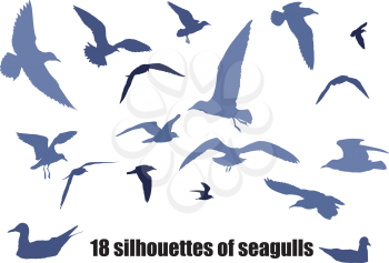 several silhouettes of seagulls in various poses isolated on white background