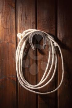 An old horseshoe hangs on one nail with a lasso against a dark wooden wall