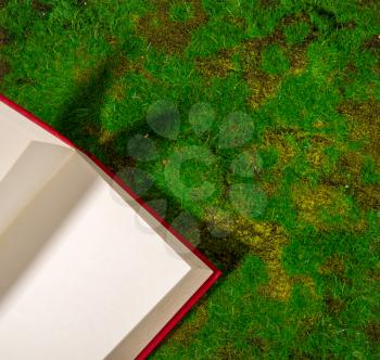 An open book with a red cover lies on the green grass or moss. View from above
