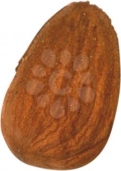 Royalty Free Photo of an Almond nut