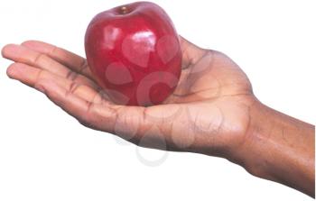 Royalty Free Photo of an Apple Sitting in a Man's hand