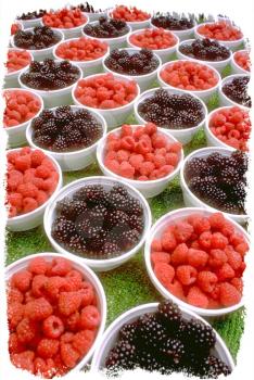 Royalty Free Photo of Bowls of Berries