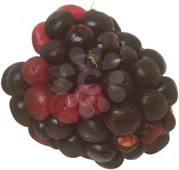 Royalty Free Photo of a Berries