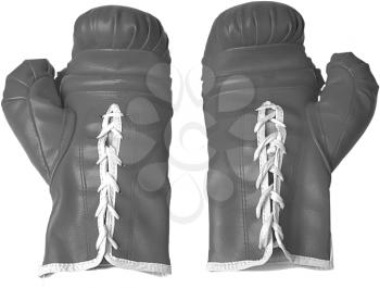 Royalty Free Photo of a Boxing Gloves