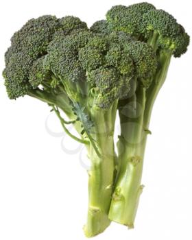 Royalty Free Photo of a Broccoli