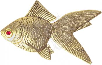 Royalty Free Photo of a Fish Brooch