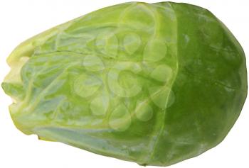 Royalty Free Photo of a Brussels Sprout