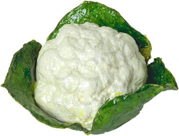 Royalty Free Photo of an Imitation Cauliflower