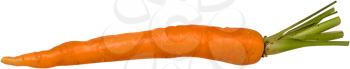Royalty Free Photo of a Raw Carrot