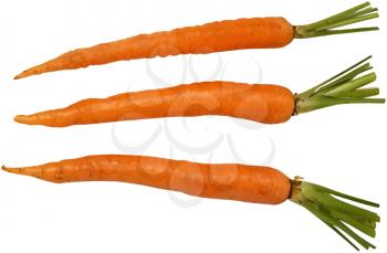 Royalty Free Photo of a Three Raw Carrots