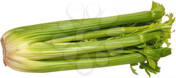 Royalty Free Photo of a Stalk of Celery