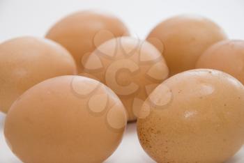Seven eggs on the white background.