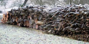 Stack of wood at winter.