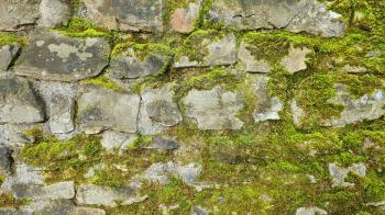 Closeup of Exterior Stone Wall Covered with Green Moss.