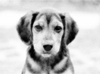 Portrait of cute dog in black and white halftone abstract illustration.