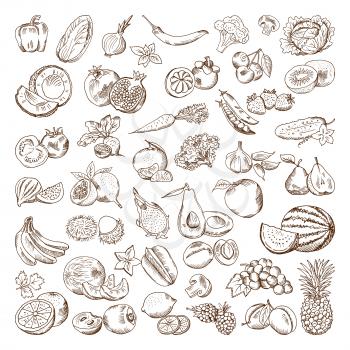 Vector hand drawn pictures of fruits and vegetables. Doodle vegan food illustrations. Vegetable and fruit drawing doodle collection