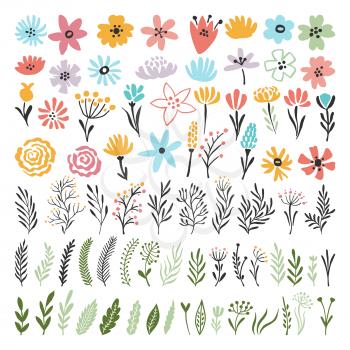 Different florals elements for your design project. Vector illustration of plants. Floral colored flowers and green leaf