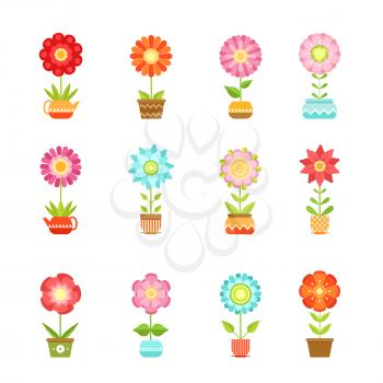 Vector flowers in different pots. Floral set isolate on white background. Color flowers plant, illustration of garden flowers in pot