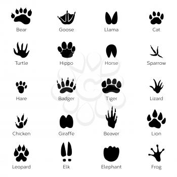 Different footprints of birds and animals. Vector monochrome pictures on white background. Animal footprint track, black silhouette footprints illustration
