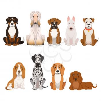 Different breeds of dog. Group of domestic animals in cartoon style. Vector illustrations set domestic dogs breed, collection of adorable character friends