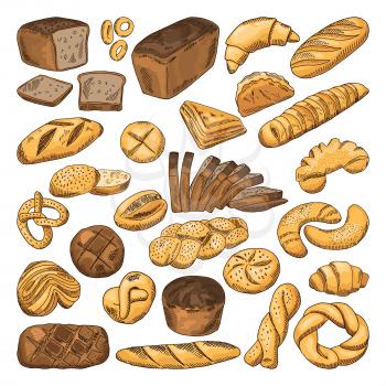 Colored hand drawn pictures of fresh bread and different types of bakery food. Baguette, croissant and others. Bread 0 food, fresh bakery snack illustration