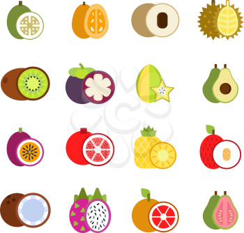 Guava, mango and others illustrations of tropical fruits in flat style. Tropical papaya and guava food, fresh fruit exotic vector