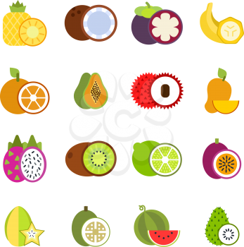 Illustrations of tropical fruits in vector style. Pineapple and papaya, fruit banana and tropical mango