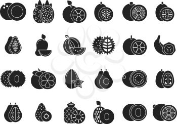 Vector monochrome illustrations of different tropical healthy fruits. Healthy fruit tropical, organic fresh sweet orange and v pineapple