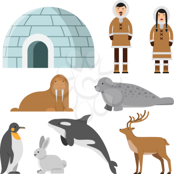 Polar, arctic animals and residents of the north near eskimo ice house. Igloo house, penguin and siberian eskimo, reindeer and walrus, vector illustration