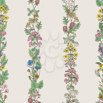 Seamless pattern of vertical tracery of hand drawn herbs and field flowers. Vector illustration