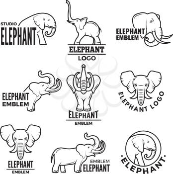 Stylized illustrations of elephants. Templates for logo design elephant animal, wild animal logo vector