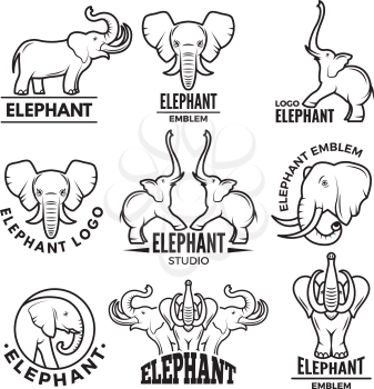 Logo templates with pictures of african elephant. Vector elephant symbol, logo animal of collection illustration