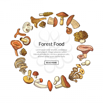 Vector hand drawn mushrooms in circle form with place for text in center illustration