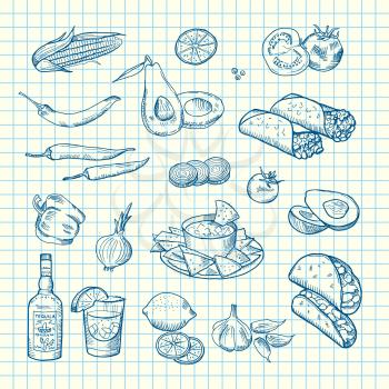 Vector sketched mexican food elements of set on cell sheet background illustration