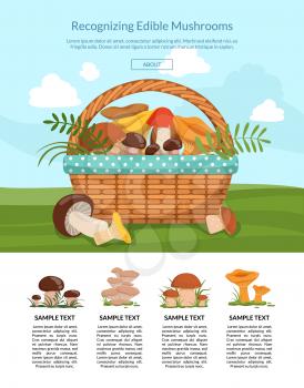 Vector landing page illustration with cartoon mushrooms. Food fungus, organic nature edible mushroom
