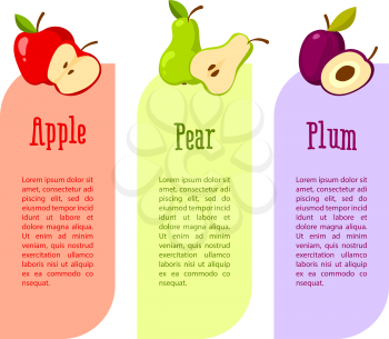 Cards with space for your text. fruits benefits. Red apple, pear and plum. Vector illustration