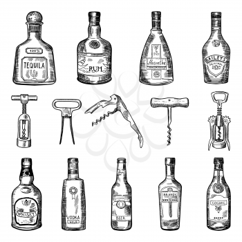 Illustrations of corkscrew and different wine bottles. Alcohol tequila and rum, absinthe and baileys, cognac and whisky vector