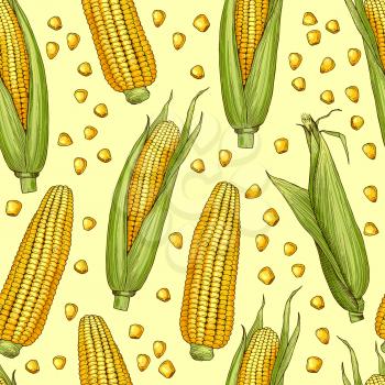 Vector seamless patterns with illustration of corn. Vegetable pattern with corncob