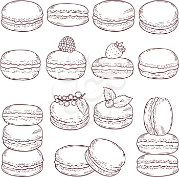 Hand drawn illustrations of paris cuisine. Delicious macaroons with different tastes. Macaroon sweet cookie, french biscuit vector
