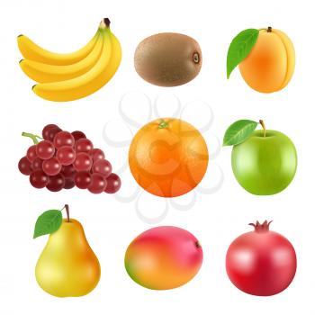 Different illustrations of fruits. Realistic vector pictures isolate on white. Fruit pear and apricot, kiwi and apple, orange and grapes