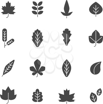 Black leaves. Vector symbols of autumn plants. Illustration of leaf autumn collection