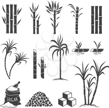Sugarcane farm symbols. Sweets field plant harvest milling vector colored illustrations isolated on white background. Sugarcane sweet, sugar cane harvest