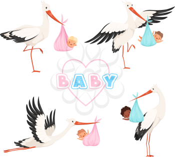 Stork with baby. Cute bird flying with newborn pacifier little children vector cartoon mascot funny poses. Illustration of stork with baby, newborn delivery