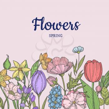 Vector hand drawn flowers background with place for text illustration. Floral flower, vintage nature and flourish springtime