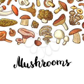 Vector hand drawn mushrooms banner poster background with place for text illustration. Menu pattern